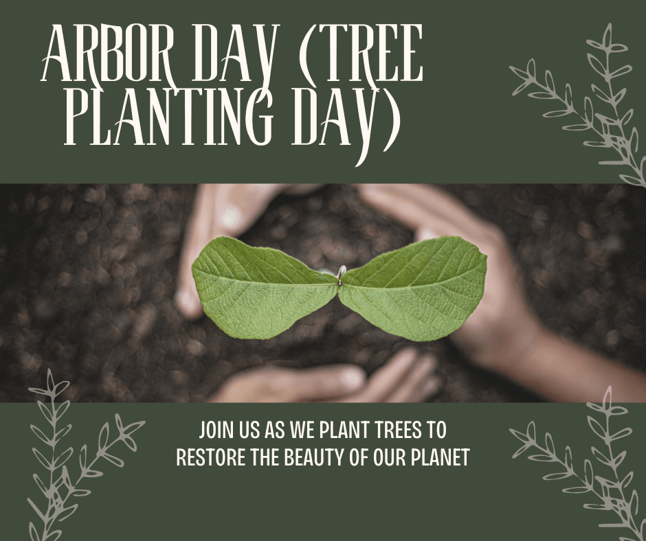 Celebrating Arbor Day: The Importance of Tree Planting